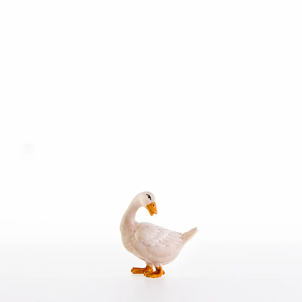 Oca che guarda indietro