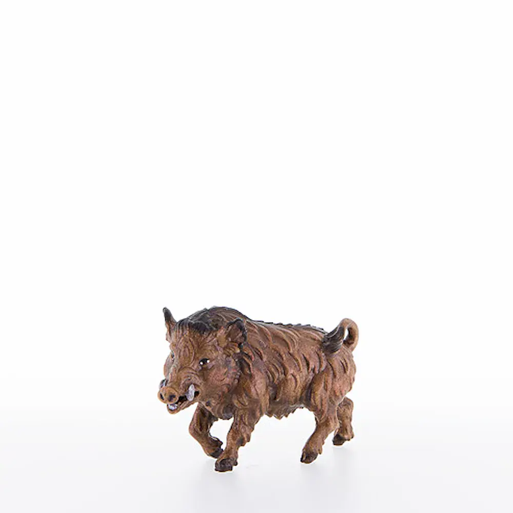 Cinghiale