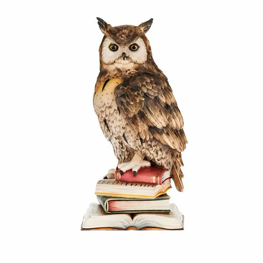Gufo su libri