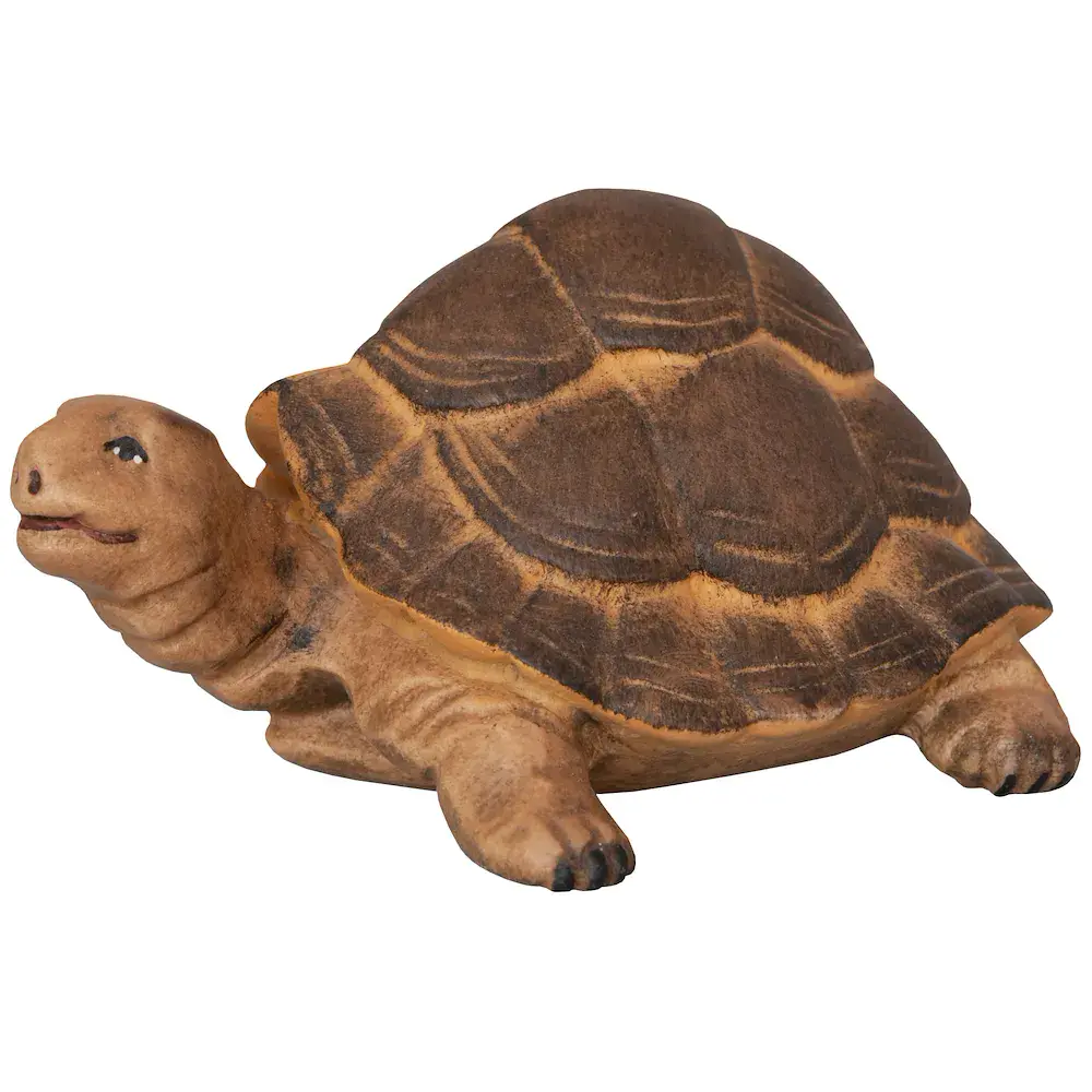 Tartaruga gigante
