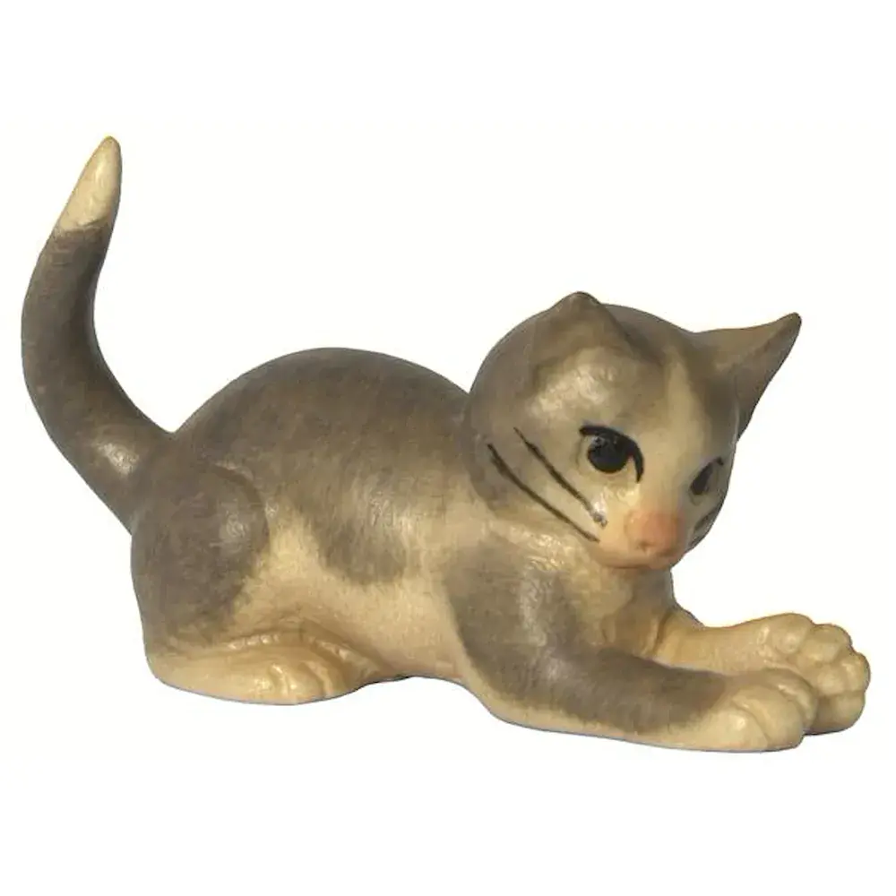 Gatto sdraiato con zampe avanti