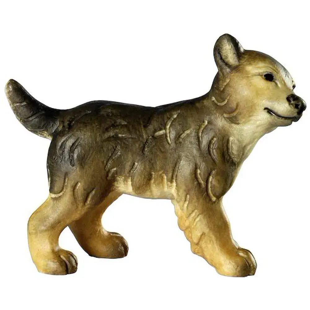 Cucciolo di lupo - testa a dx.