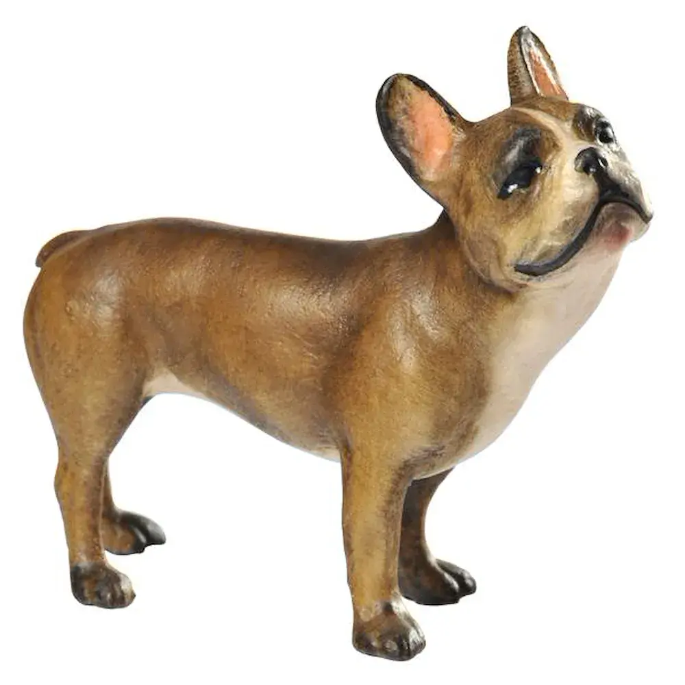 Bulldog francese