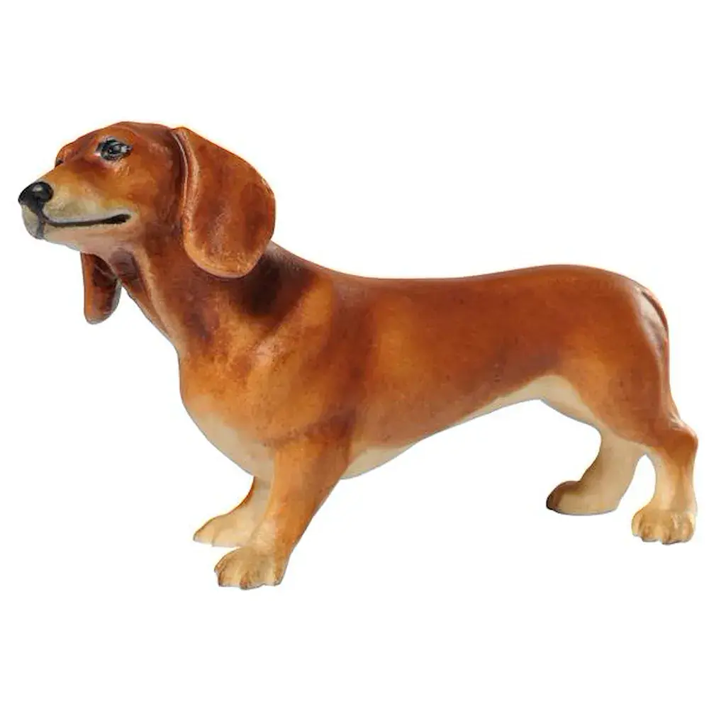 Bassotto