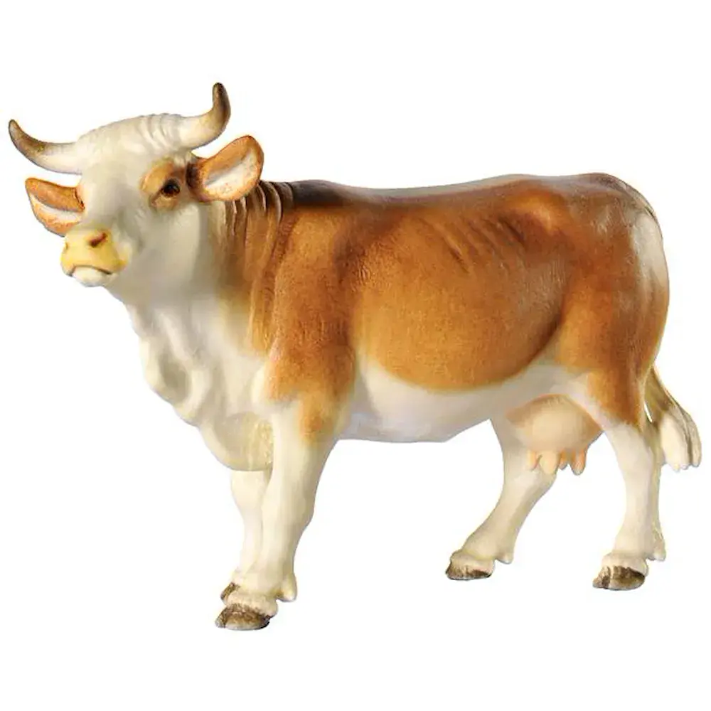 Mucca - testa in alto