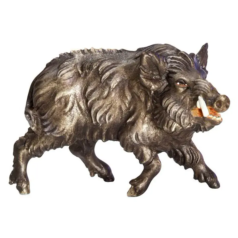 Cinghiale - maschio