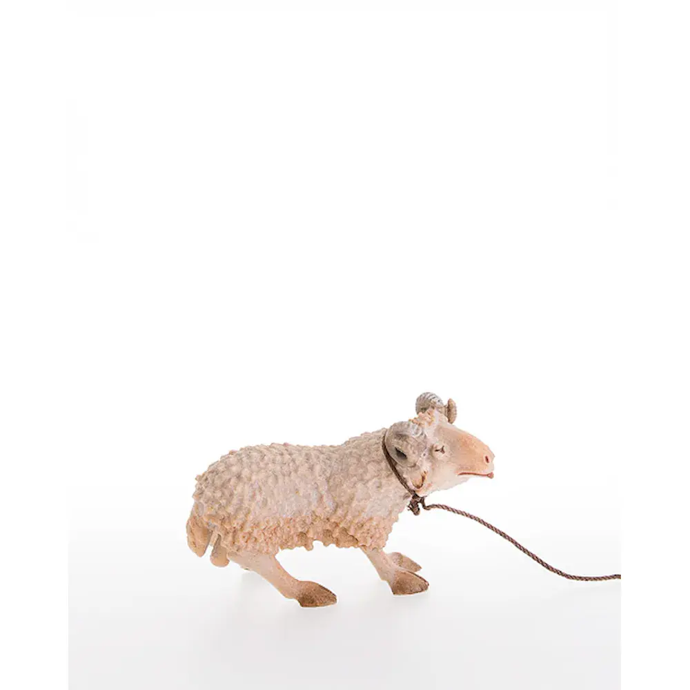 Ram