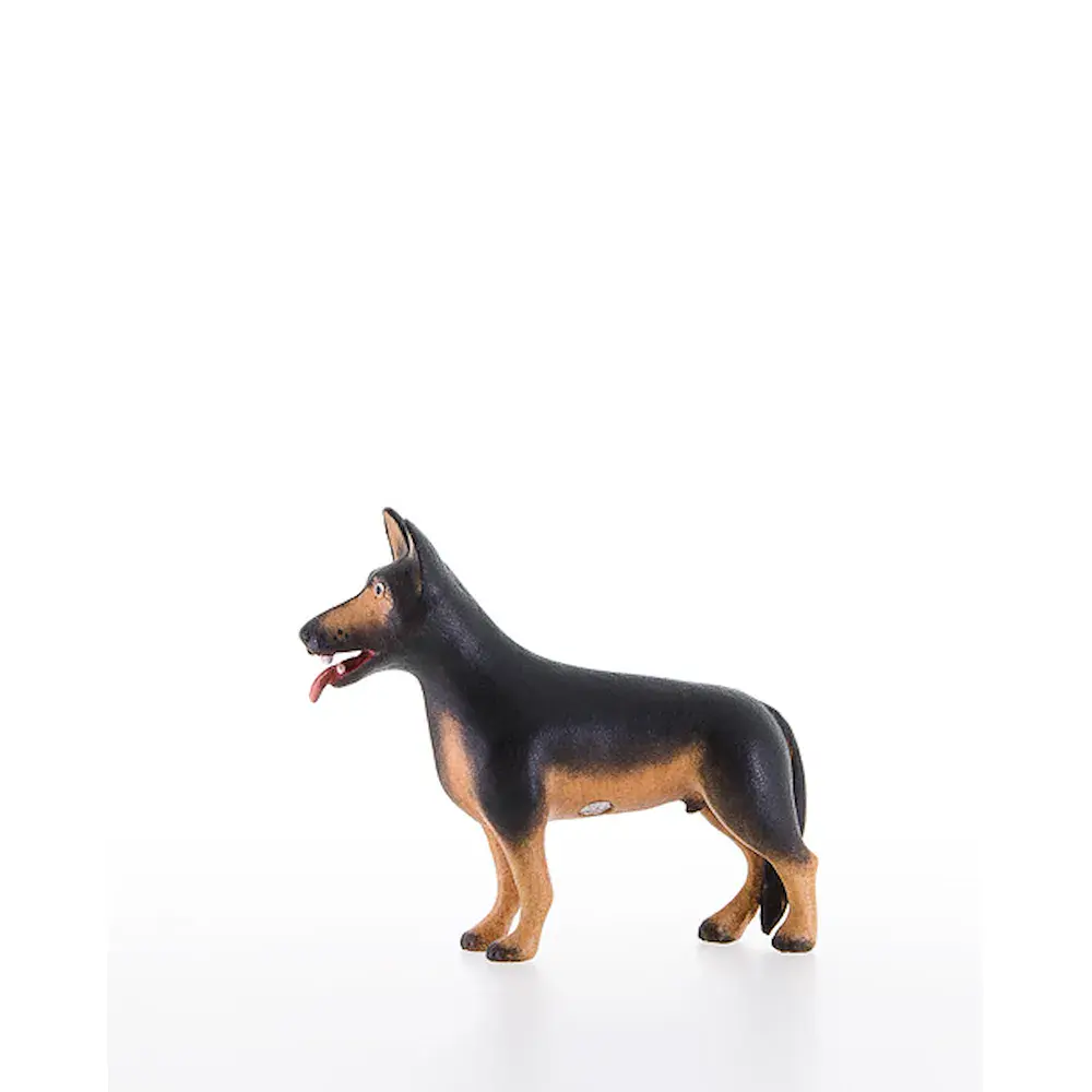 Sheep-dog