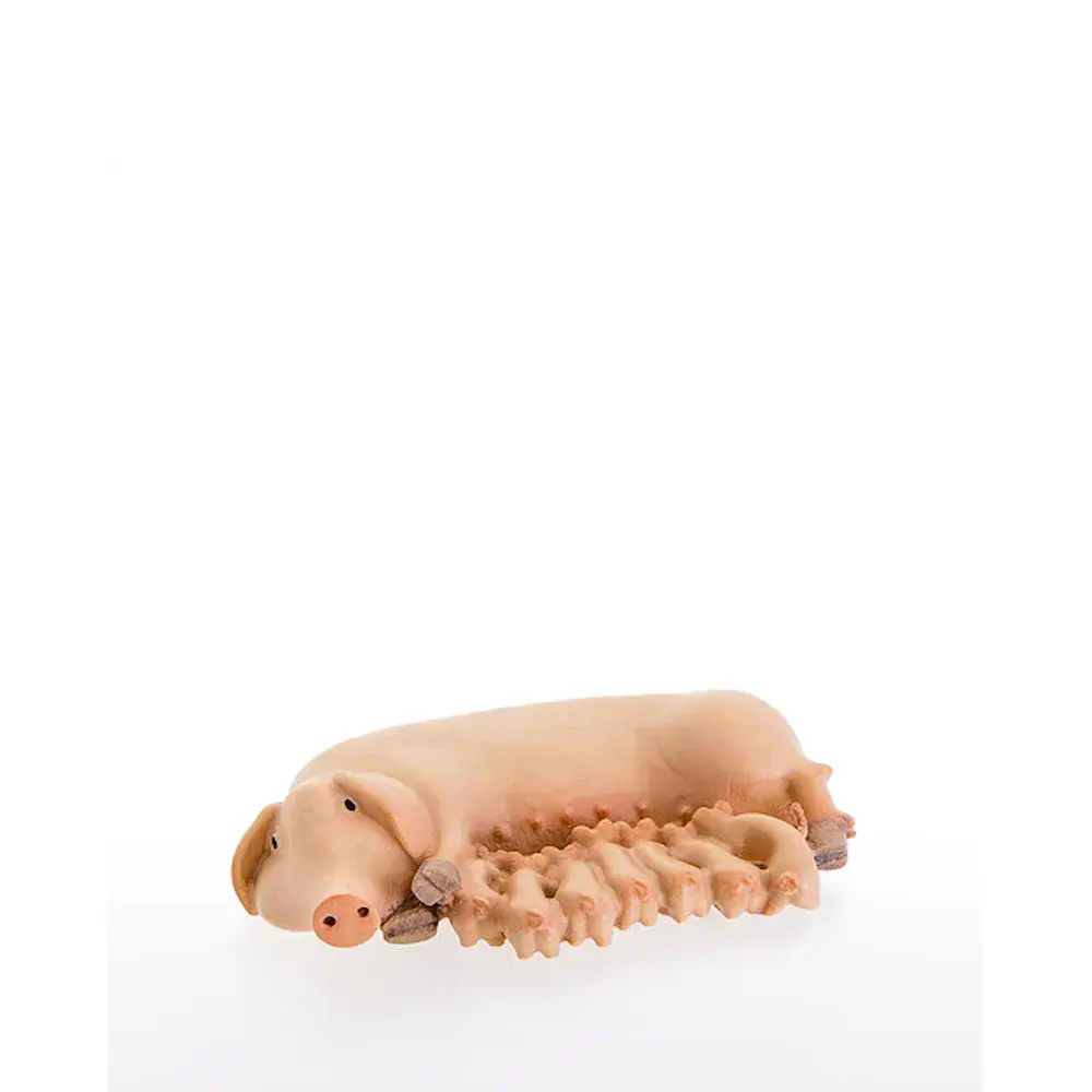 Pig with piglets