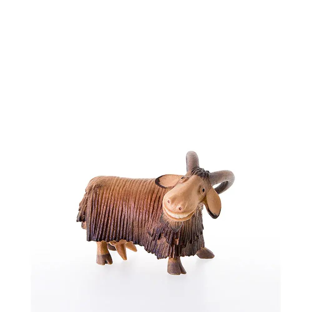 Goat for milker nr.51