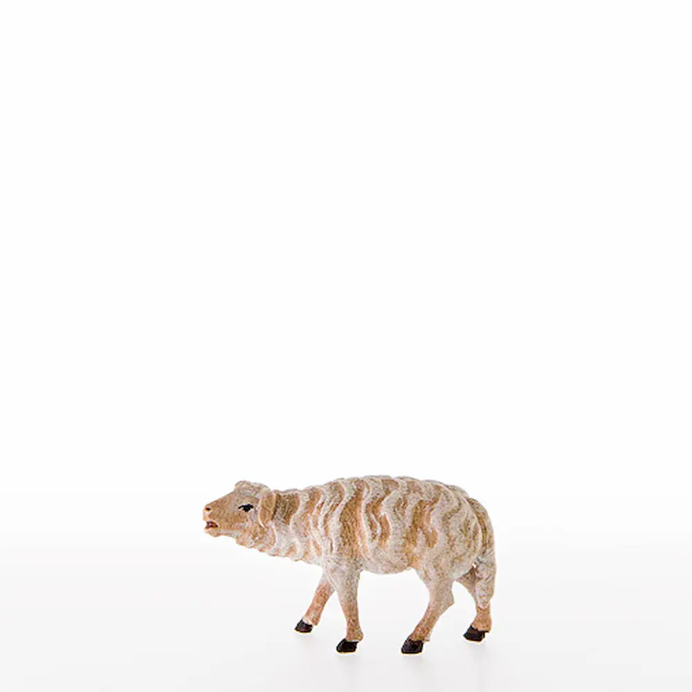 Sheep standing