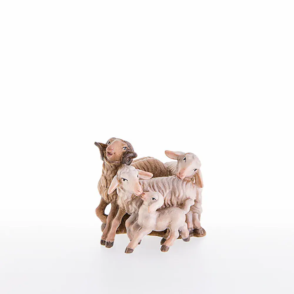 Sheep-group