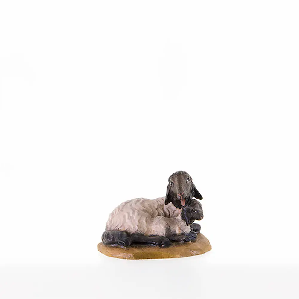 Sheep with black head and lamb