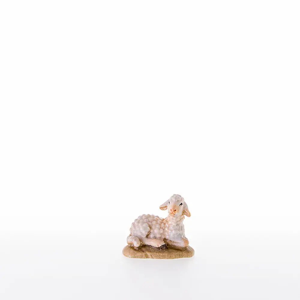 Lamb lying