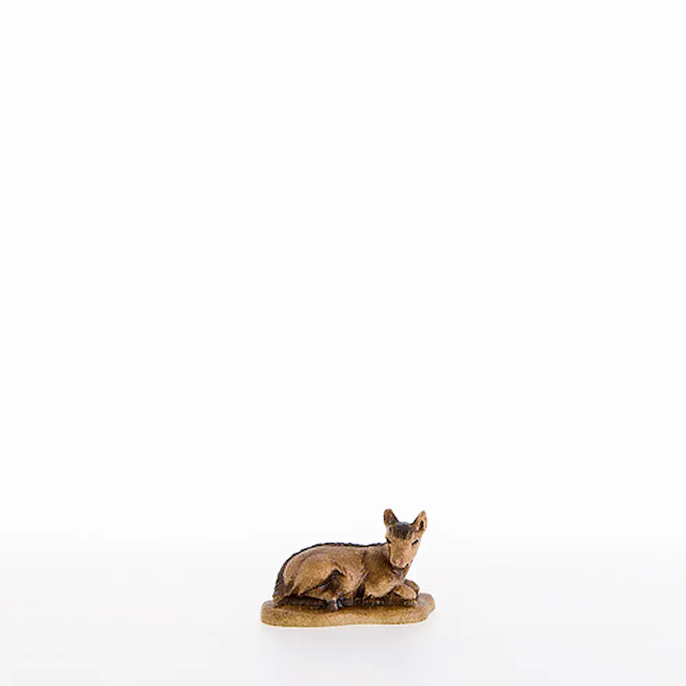 Kid lying-down