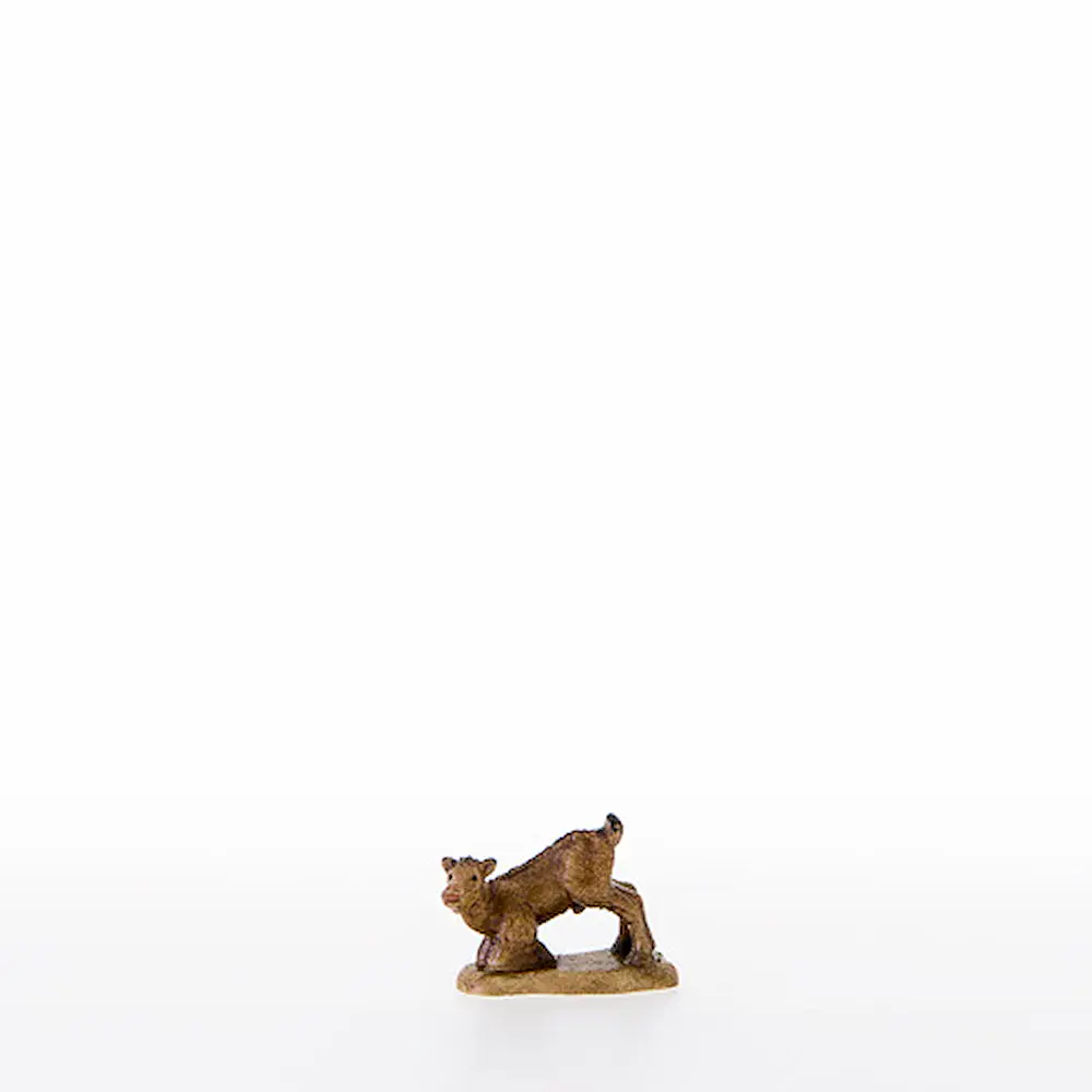 Kid