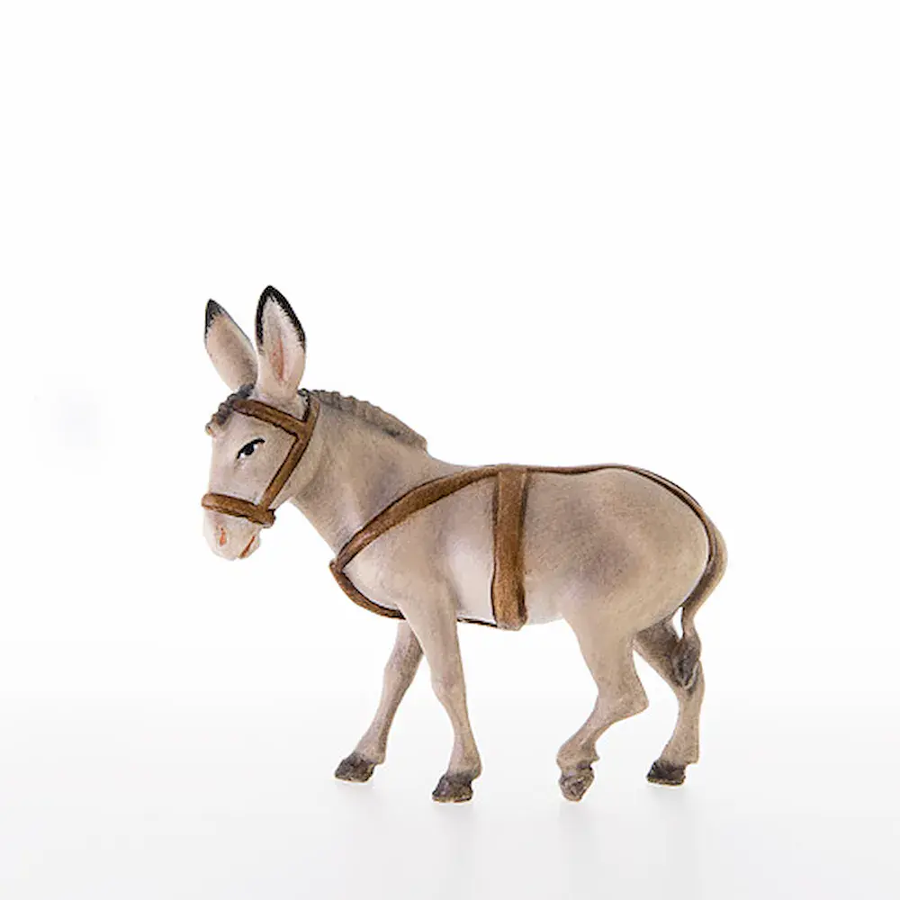 Donkey with reins without cart
