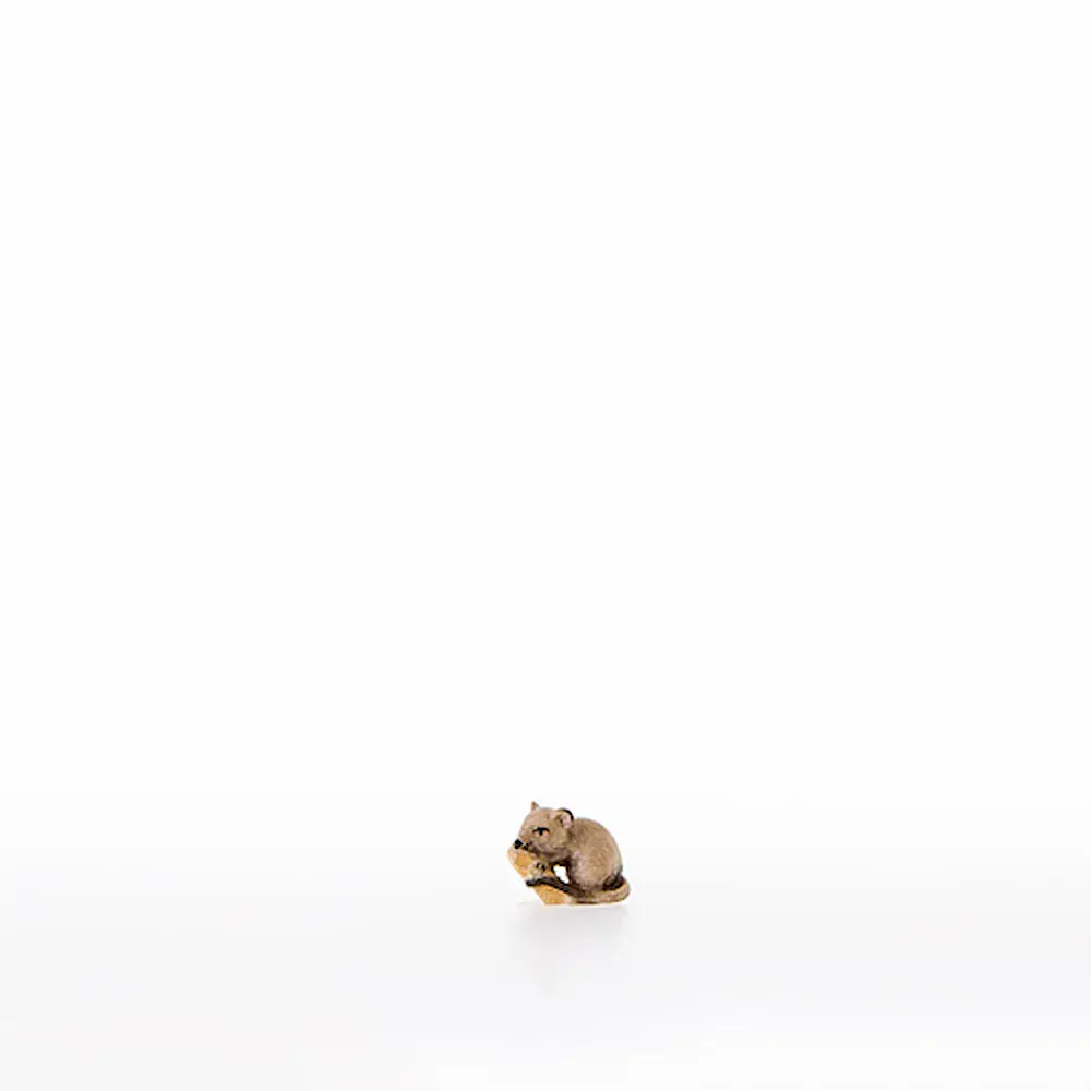 Mouse with cheese