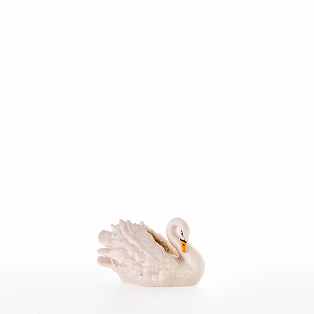 Swan