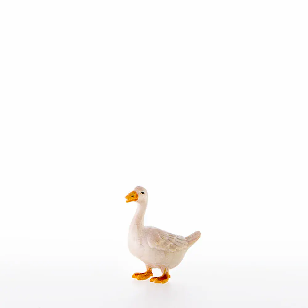 Goose looking forward