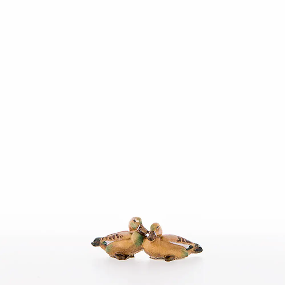 Group of ducks