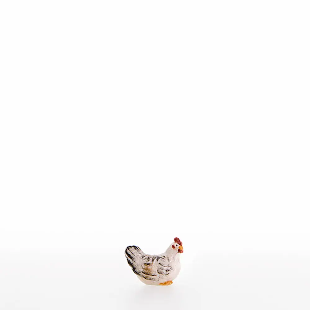 Hen