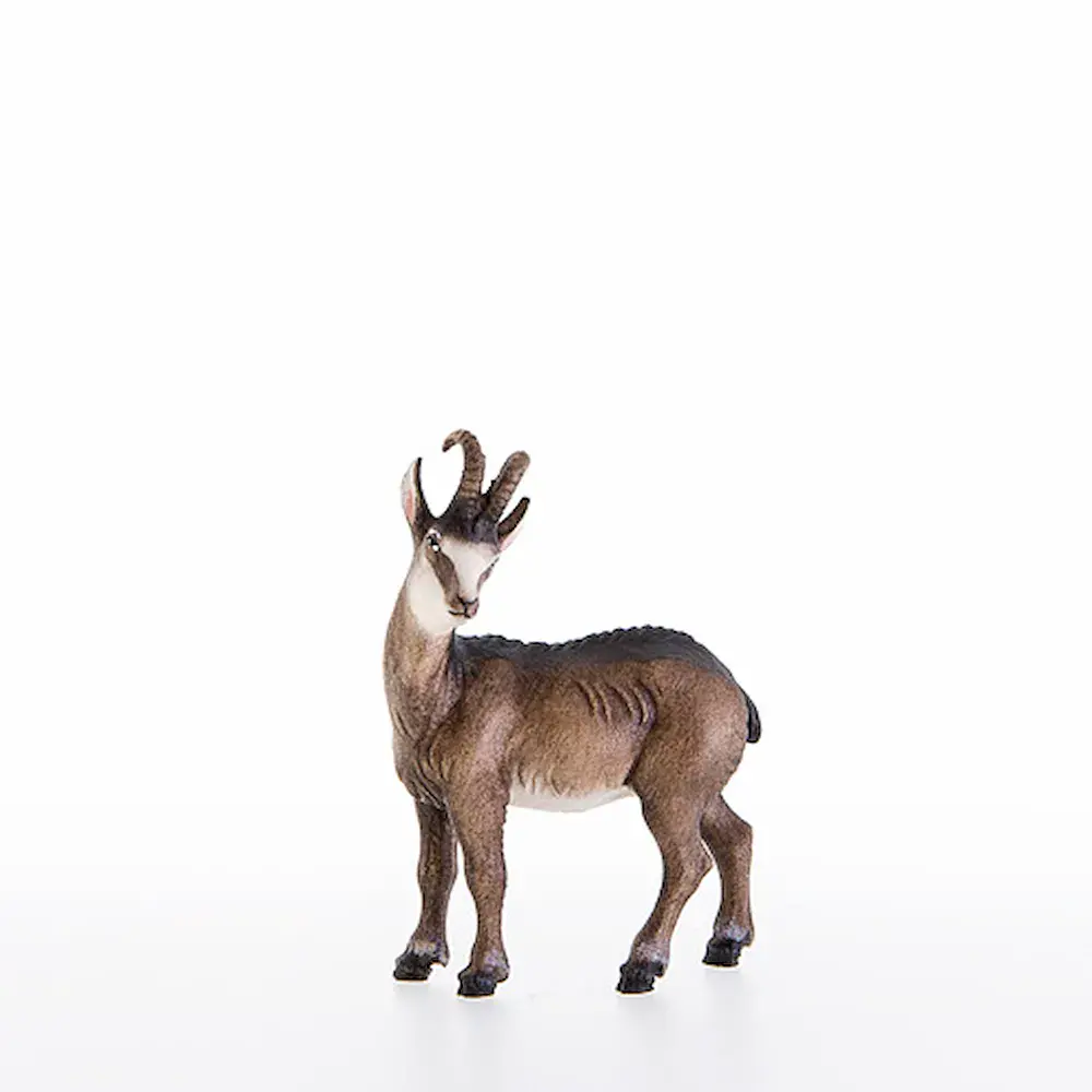 Chamois