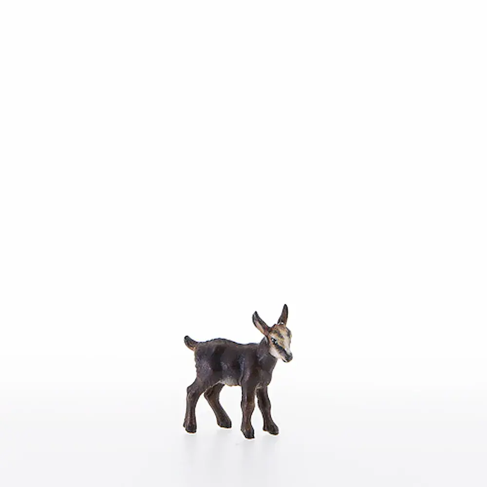 Kid