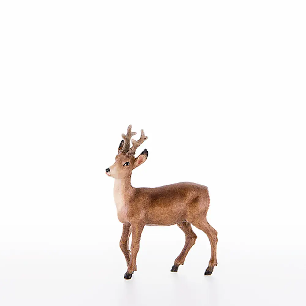 Roe-buck