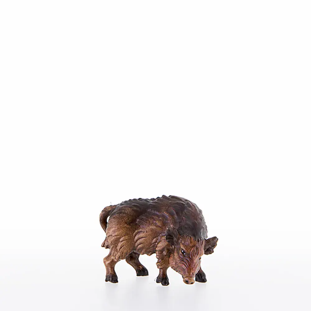 Wild sow