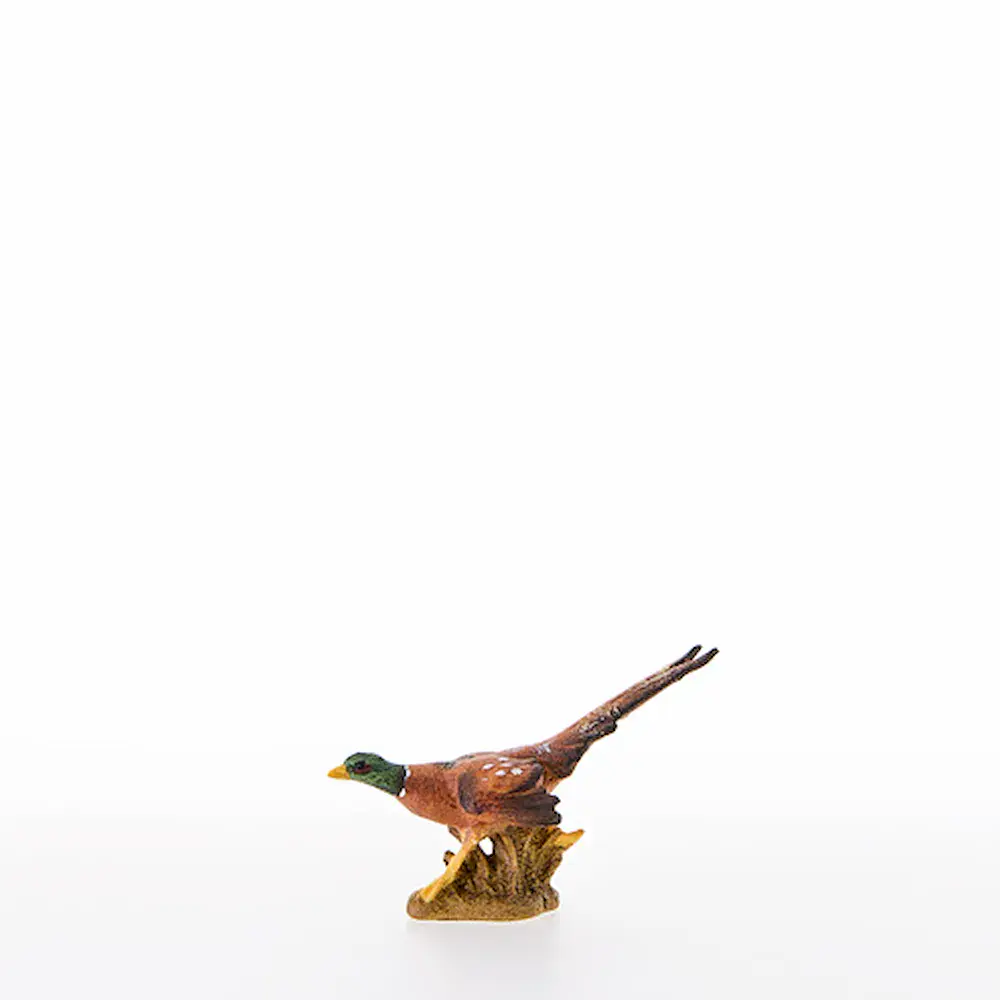 Pheasant
