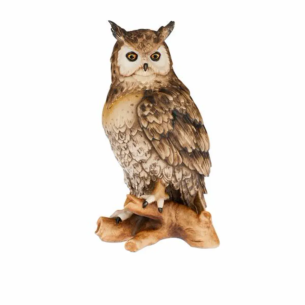 Owl on tree