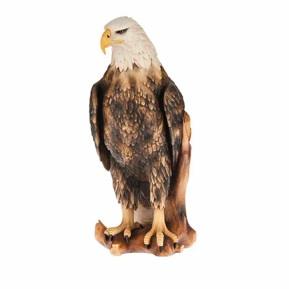 White head eagle
