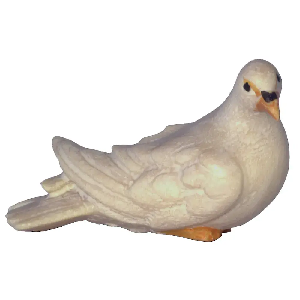 Pigeon