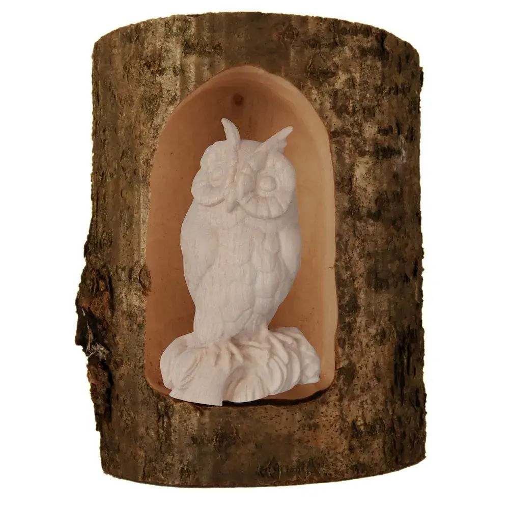 Owl in a tree cave