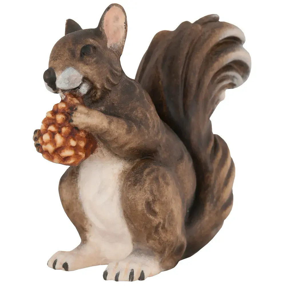 Squirrel