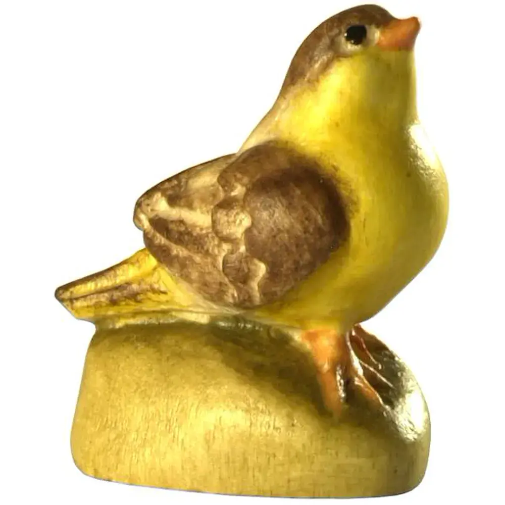 Bird- head up