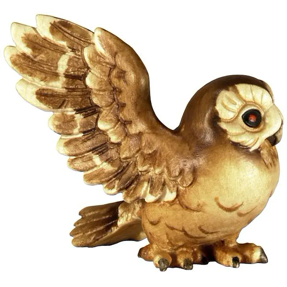 Screech owl