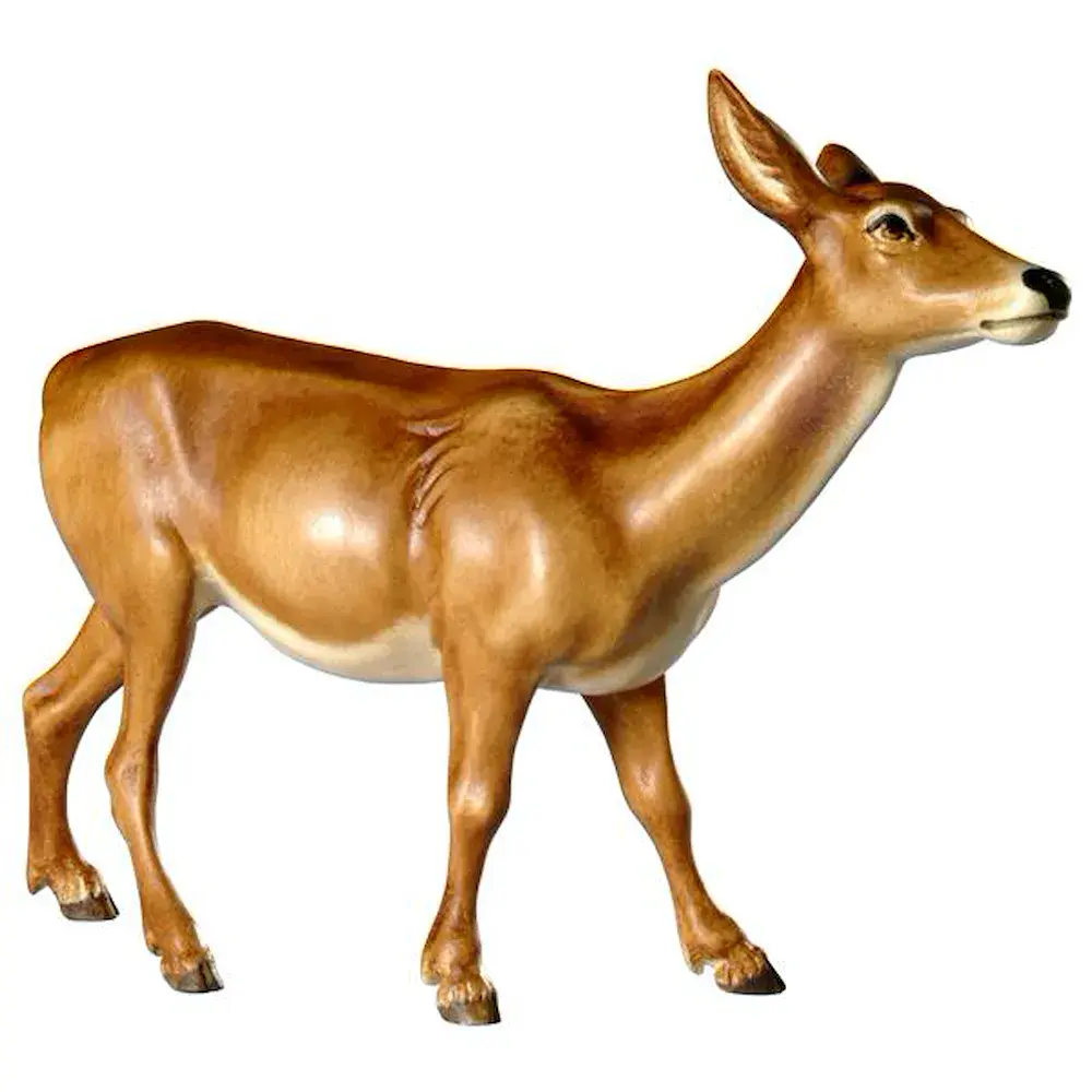 Doe