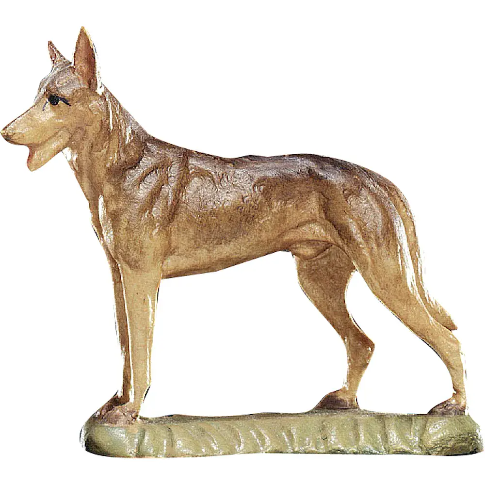 German shepherd