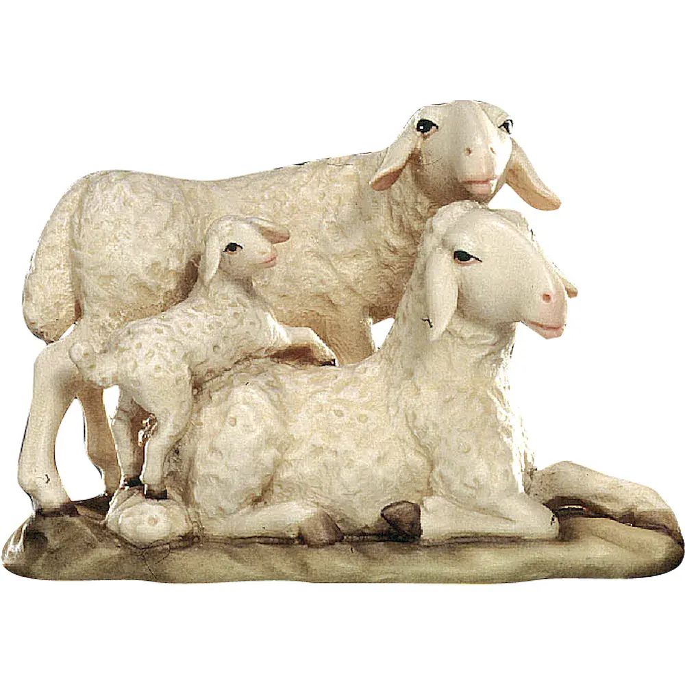 Sheep group with lamb