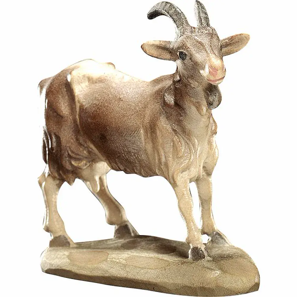 Goat