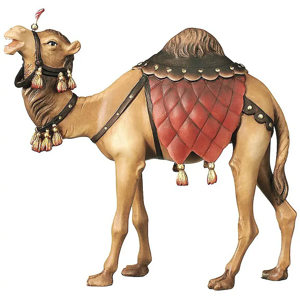 Kamel