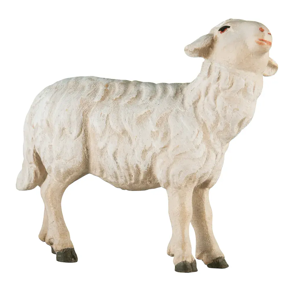 Bethlehem Krippe Schaf zu Fütterer links