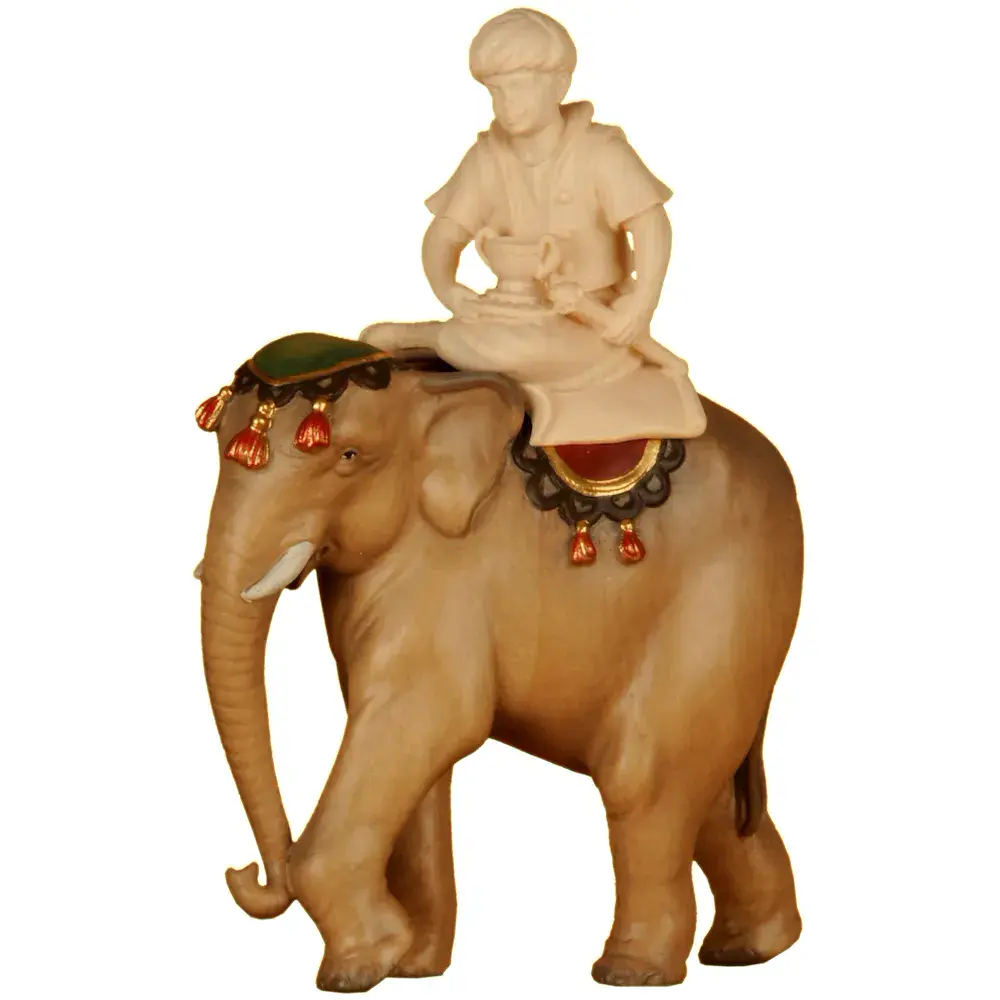 Elefant (ohne Elefantentreiber)