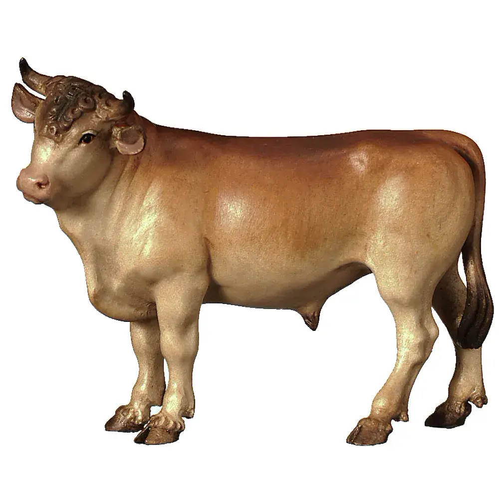 Ox standing