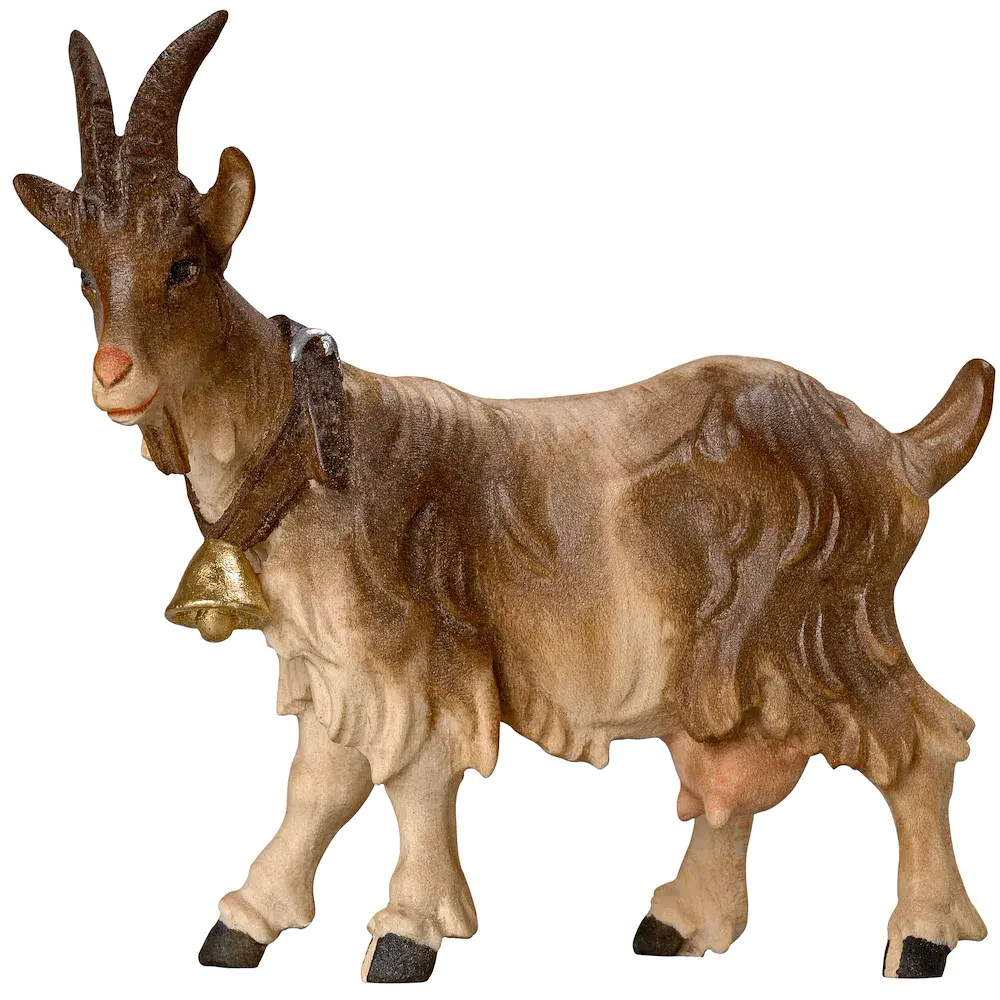 Goat standing with bell