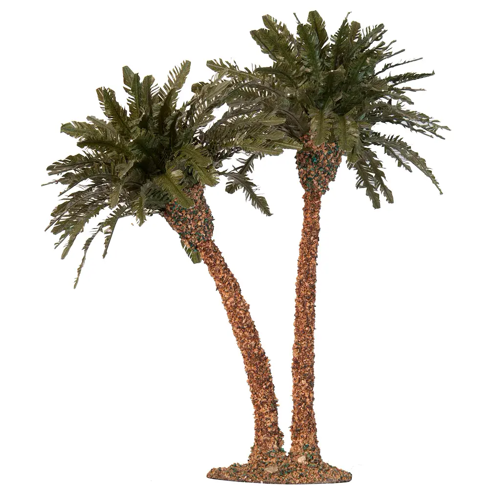 Palma doppia