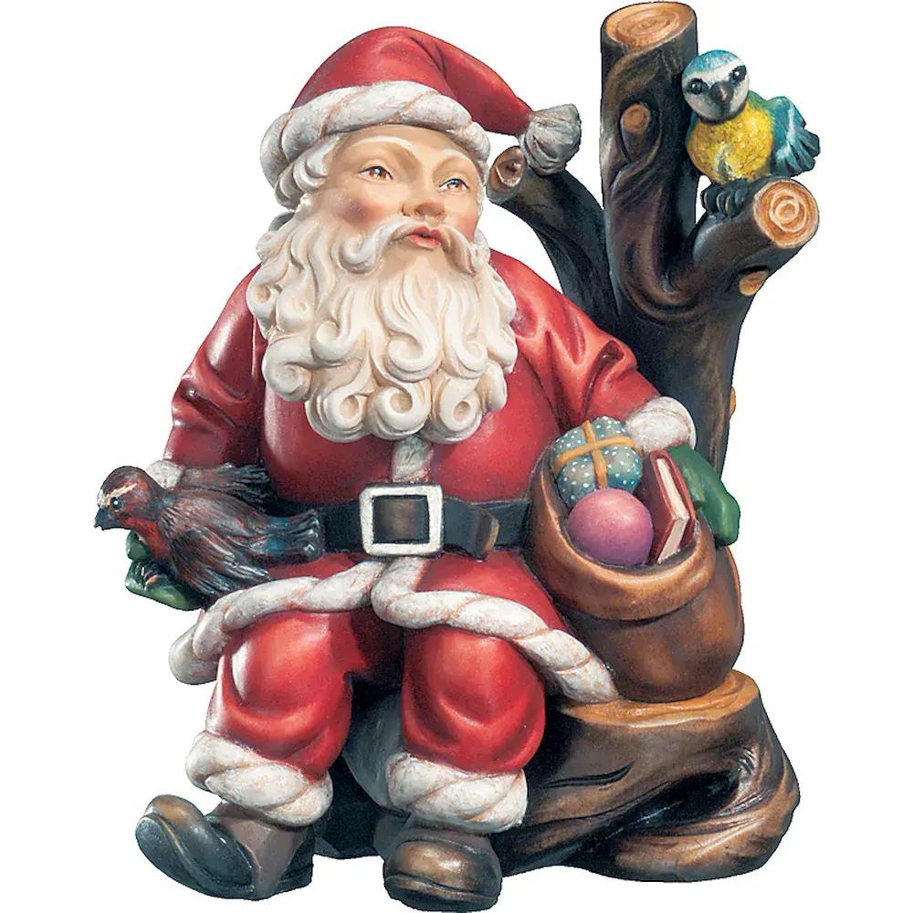 Babbo natale con uccelli