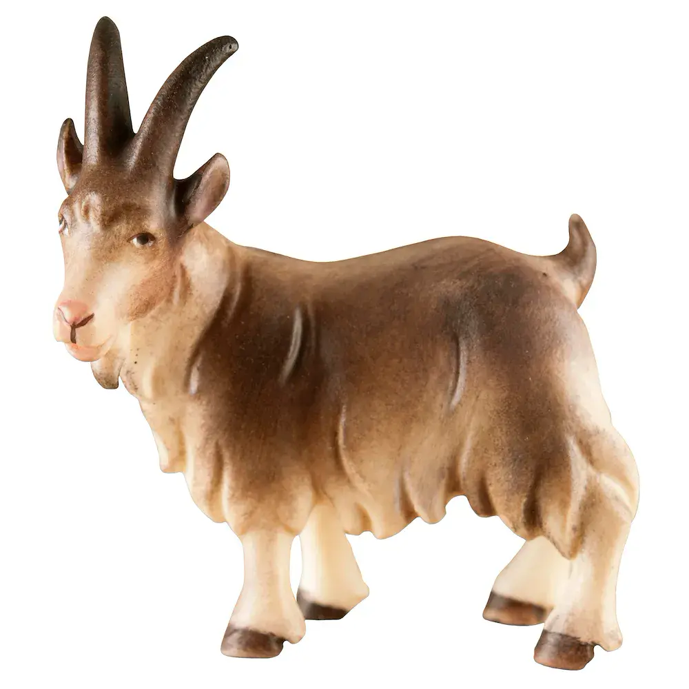 Goat standing